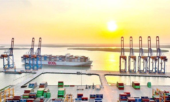 Call for efforts to minimise the impact of skyrocketing sea freight costs