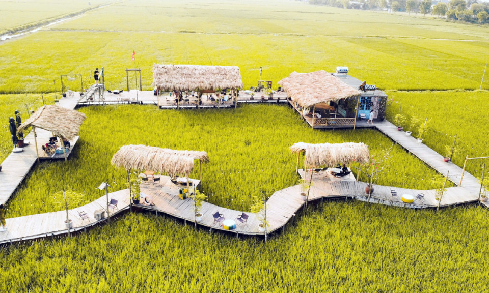 Coffee shop set amid rice paddies captivates Hanoians