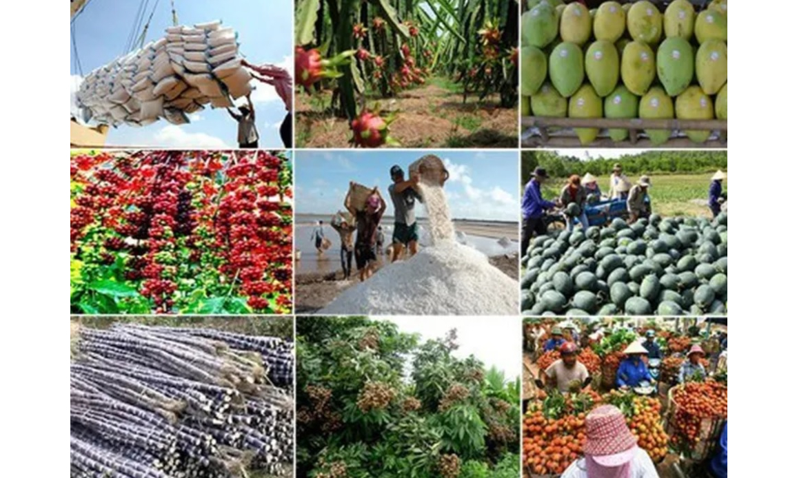 Xuất khẩu rau quả dự kiến vượt 7 tỷ USD