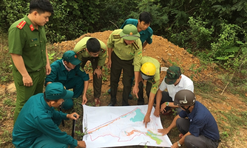 Quảng Ngãi, Đà Nẵng approve endangered langurs conservation projects