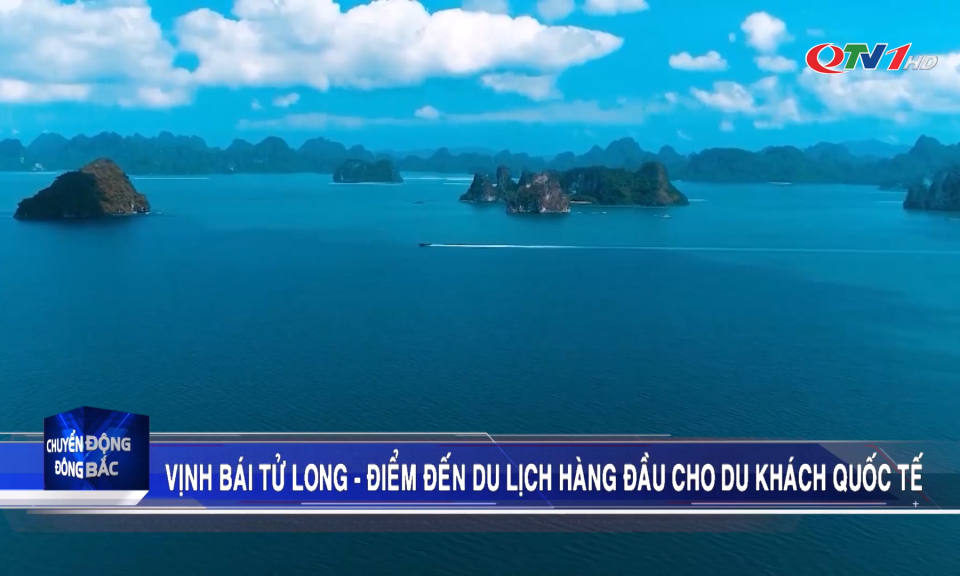 Vịnh Bái Tử Long - Điểm đến du lịch hàng đầu cho du khách quốc tế