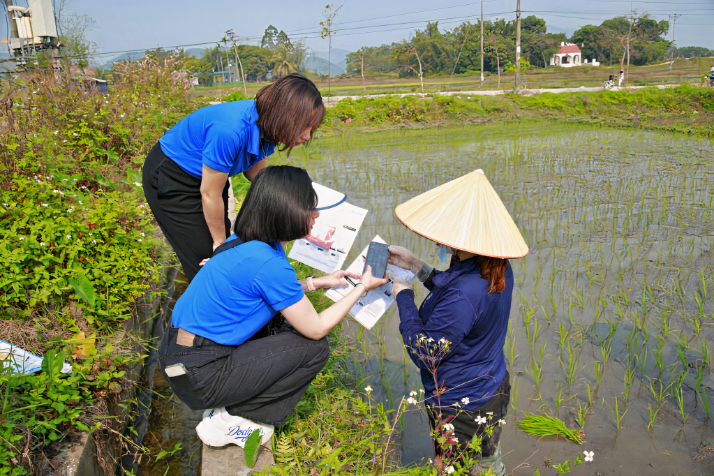 ĐVTN trên địa bàn huyện Tiên Yên hướng dẫn người dân cài đặt cái ứng dụng số trên điện thoại thông minh.