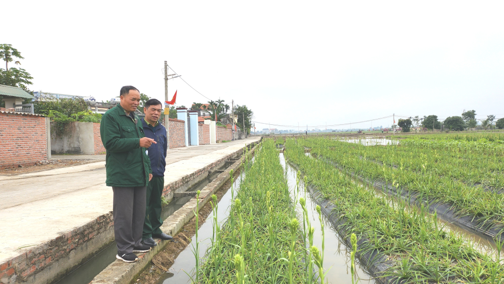 CCB Nguyễn Mạnh Ngát (ngoài, bên trái) chia sẻ về việc xây dựng mô hình HTX liên kết cùng bà con nông dân phát triển kinh tế trên địa bàn.