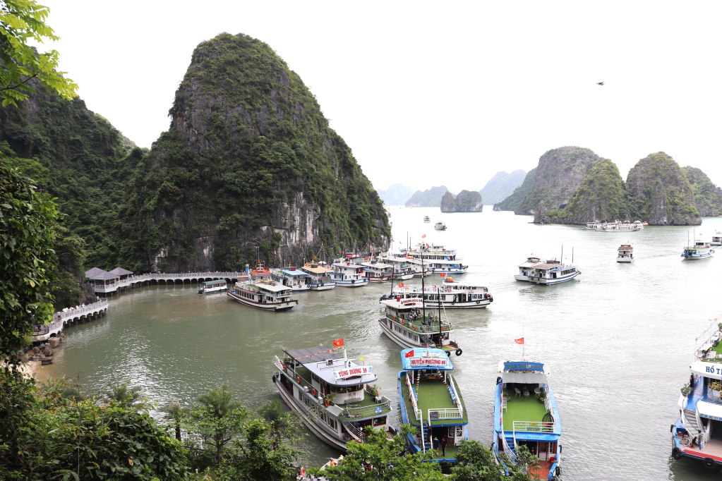 Tàu tham quan Vịnh Hạ Long.