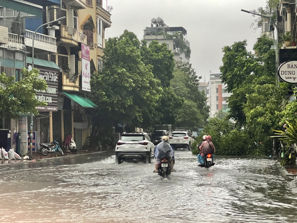 Mưa ngập, cây đổ ở gần chợ Loong Toòng