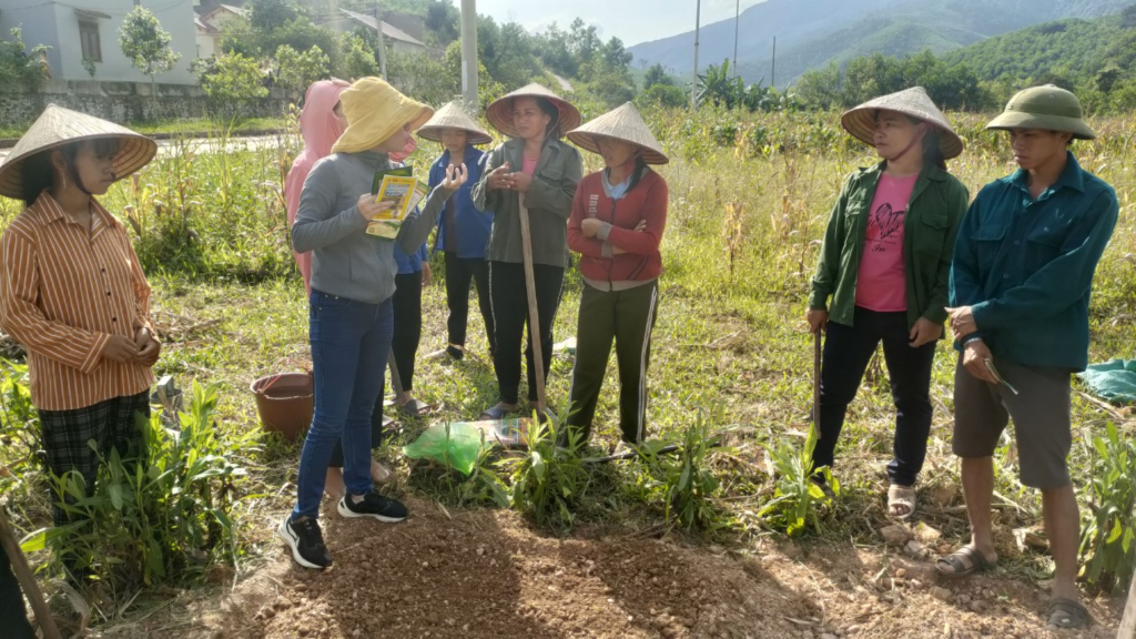 Lớp trồng rau an toàn cho phụ nữ thôn Khe Lẹ (xã Hà Lâu, huyện Tiên Yên). Ảnh: Hoài Minh