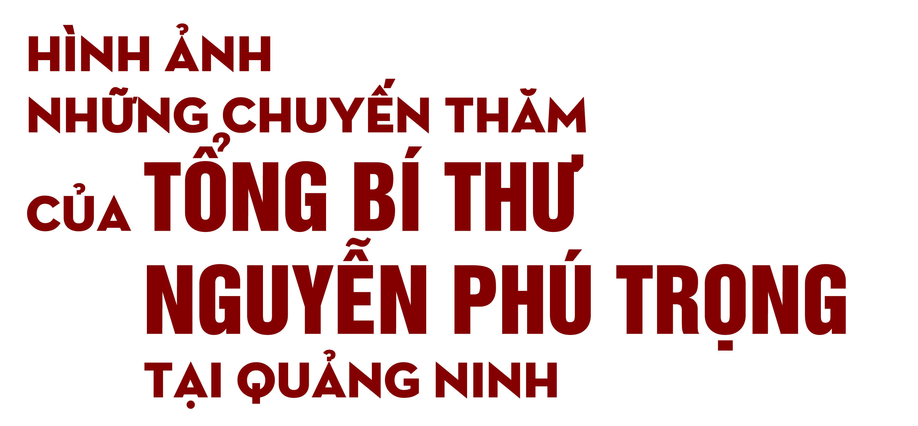 Ảnh trong văn bản