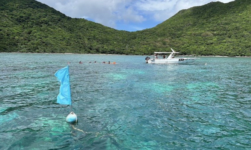 Côn Đảo dừng bơi, lặn biển nhiều nơi để bảo vệ san hô bị tẩy trắng