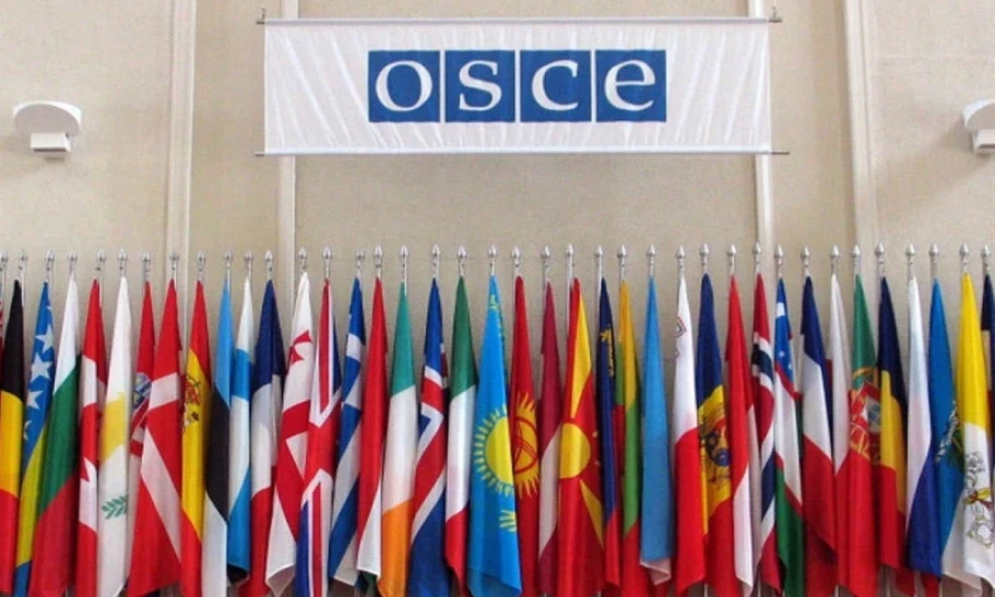 Nga quyết định ngừng tham gia Hội đồng Nghị viện OSCE