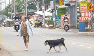 Chó dại nặng gần 10kg cắn 2 vợ chồng ở Đồng Nai, người vợ tử vong