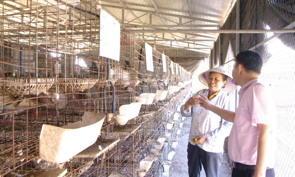 TX Quảng Yên: Đưa vốn tín dụng chính sách đến nông dân