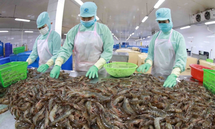 VASEP targets seafood exports of $10 billion for 2024