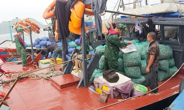 Từ 1/8, phạt nặng vi phạm khai thác thủy sản