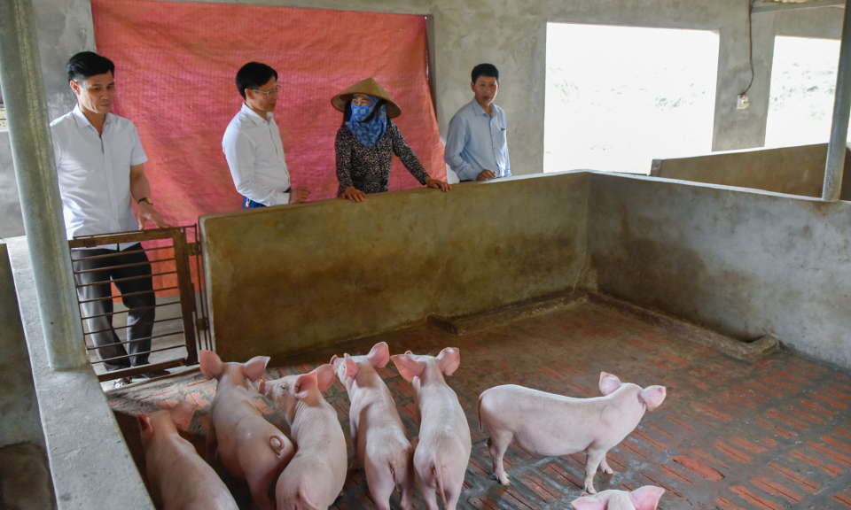 Ứng phó dịch bệnh trên cây trồng, vật nuôi