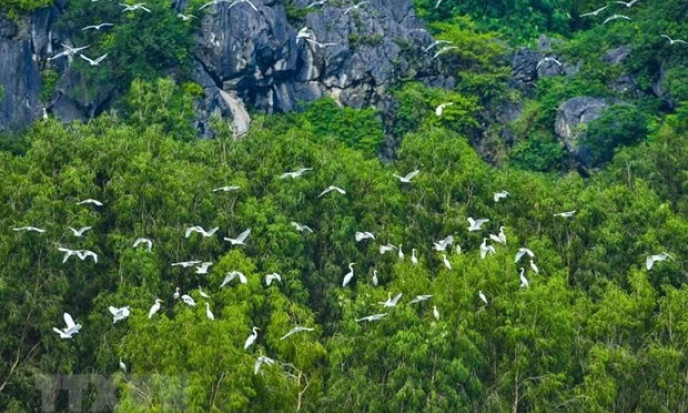 National environmental protection planning project for 2021 - 2030 adopted