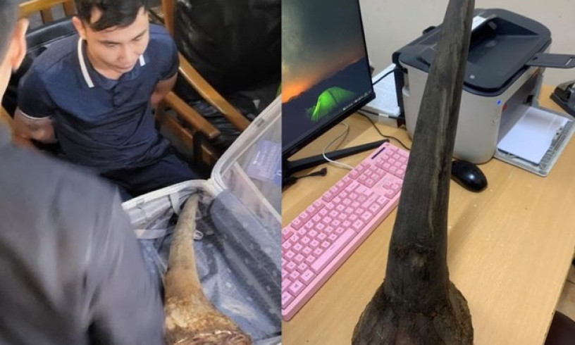 Công an Hà Nội bắt giữ trùm buôn lậu động vật hoang dã xuyên quốc gia