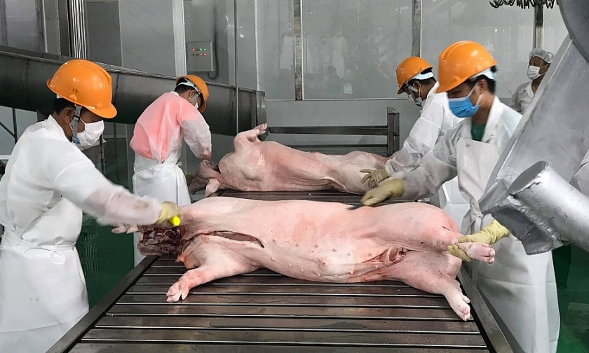 Xuất khẩu thịt và sản phẩm thịt tăng tháng thứ 3 liên tiếp