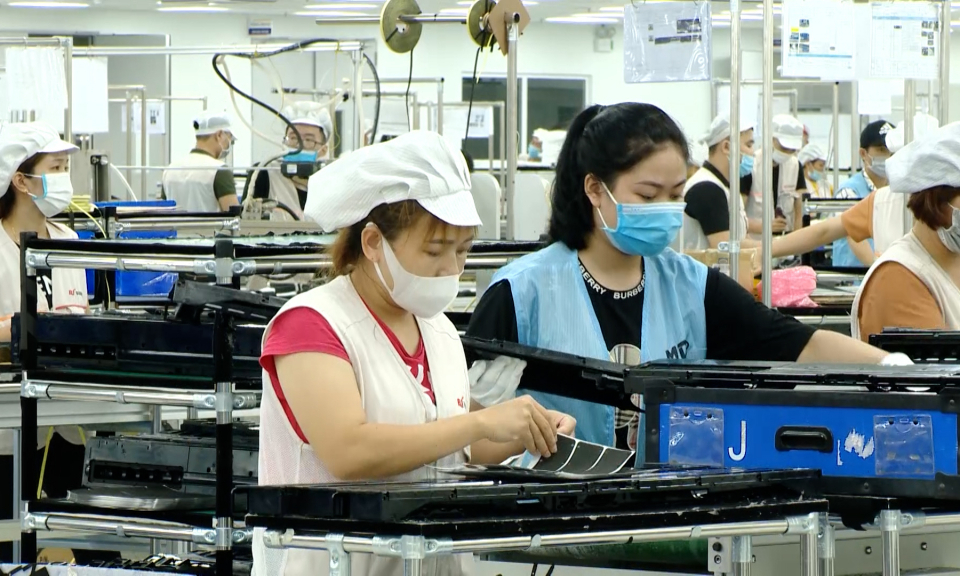 Nỗ lực hoàn thành cao nhất các chỉ tiêu công tác năm