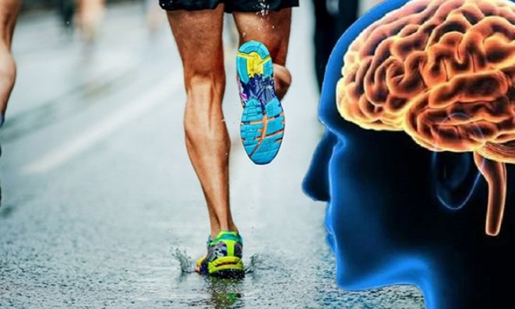Không tập thể dục gây hại cho não của bạn như thế nào?