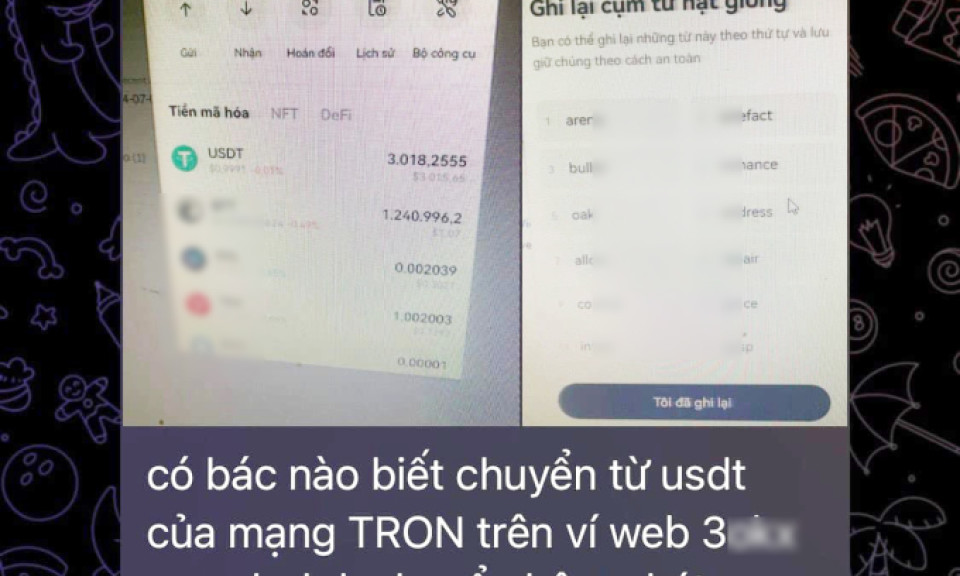 Chiêu 'lộ' mật khẩu ví để dụ đăng nhập, lừa tiền số