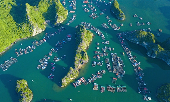 Việt Nam working with Google to boost culture and promote tourism