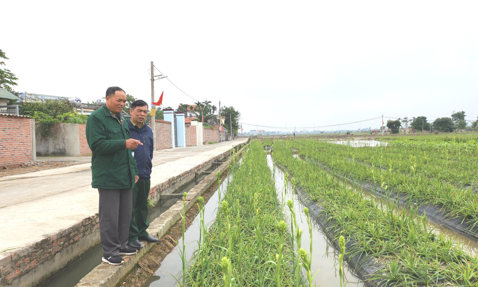 Sáng mãi phẩm chất Bộ đội Cụ Hồ