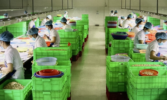 ADB keeps Việt Nam's growth outlook unchanged