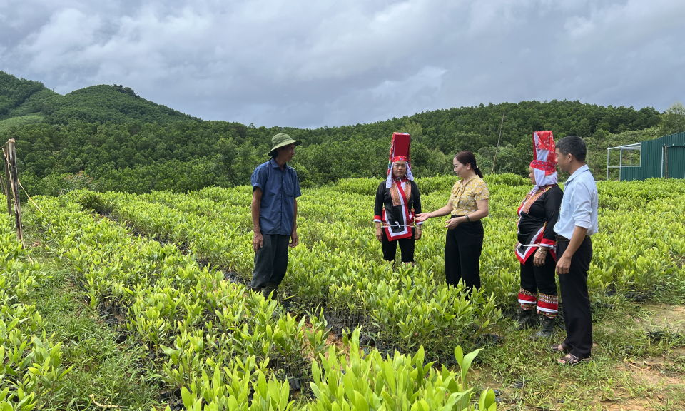 Trụ đỡ xây dựng nông thôn mới
