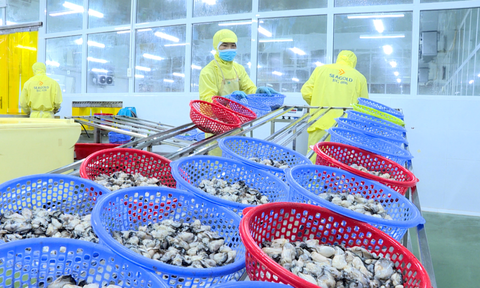 Đầm Hà: Phát triển nông nghiệp công nghệ cao