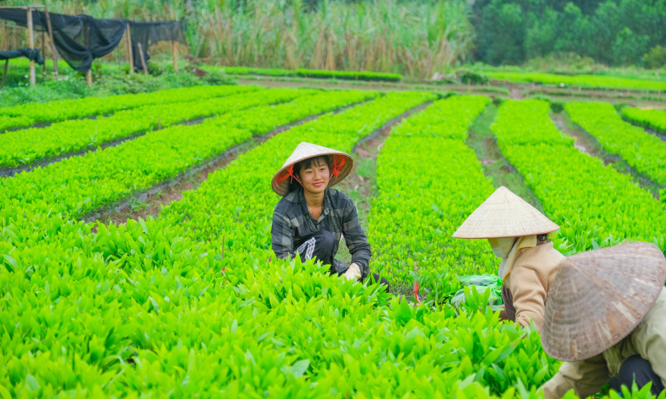 Mọi người dân đều được hưởng thành quả phát triển