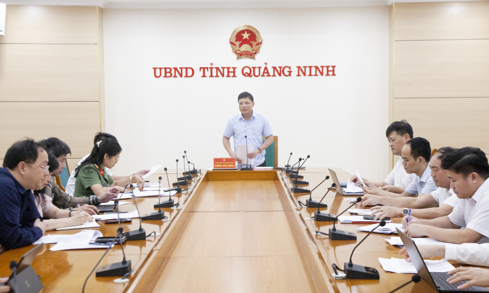 Rà soát tiến độ xây dựng danh mục quyết định của UBND tỉnh quy định tại các Luật mới được thông qua