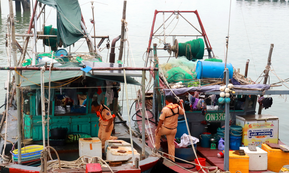 Xử lý 2 tàu cá đánh bắt thủy sản trái phép trong vùng lõi Di sản vịnh Hạ Long