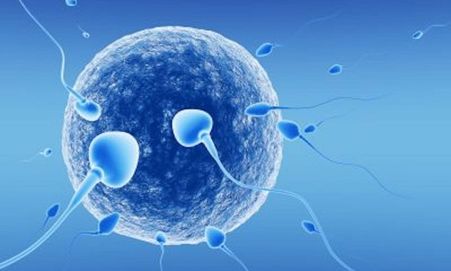 Câu hỏi thường gặp liên quan đến tinh trùng yếu