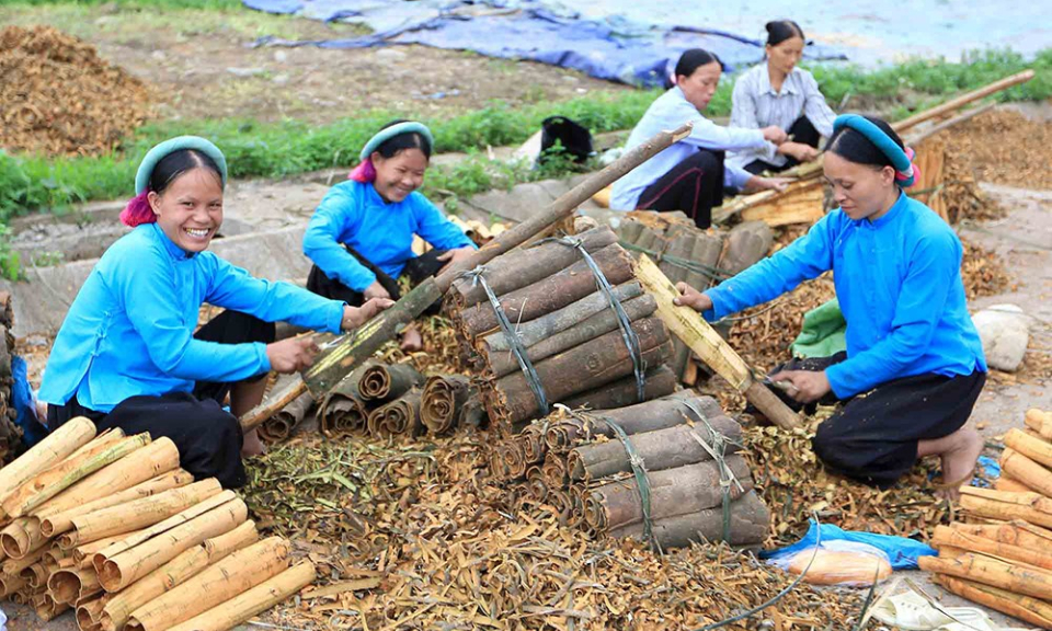 Triển khai nguồn vốn phát triển sản xuất thực hiện Chương trình tổng thể phát triển bền vững KT - XH