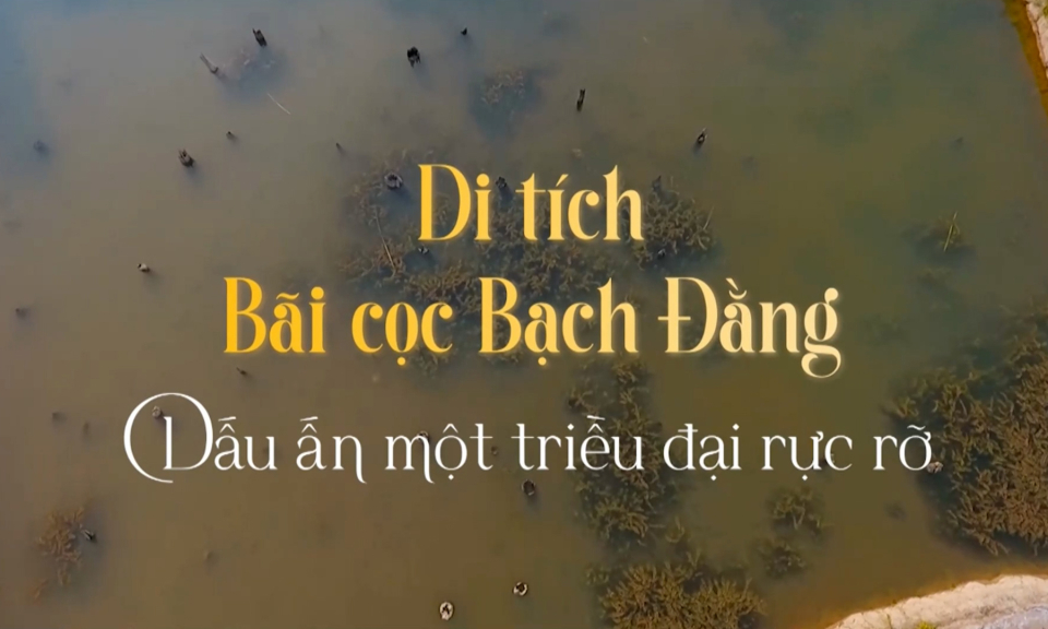 Di tích Bãi cọc Bạch Đằng – Dấu ấn một triều đại rực rỡ)