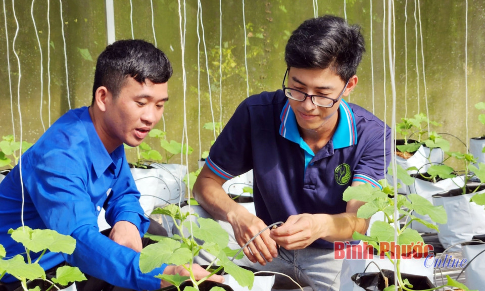 Bình Phước: Đổi mới sáng tạo để kiến tạo tương lai 