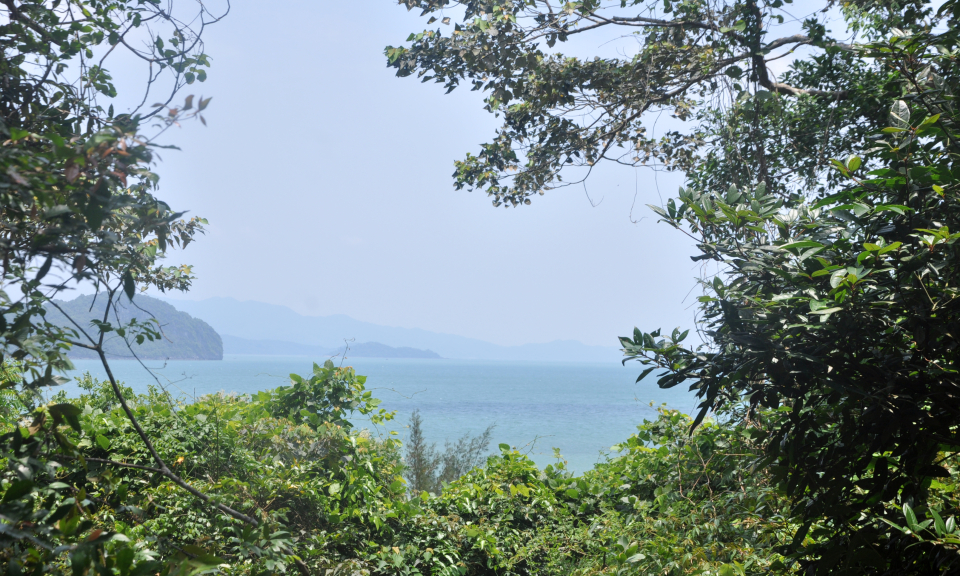 Đảo Ba Mùn xanh