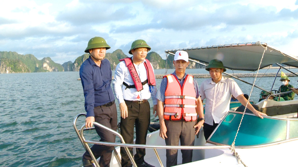 Đồng chí Nghiêm Xuân Cường, Phó Chủ tịch UBND tỉnh kiểm tra, khảo sát tình hình thực hiện giao khu vực biển nuôi trồng thủy sản và quản lý tàu cá tại thị xã Quảng Yên.