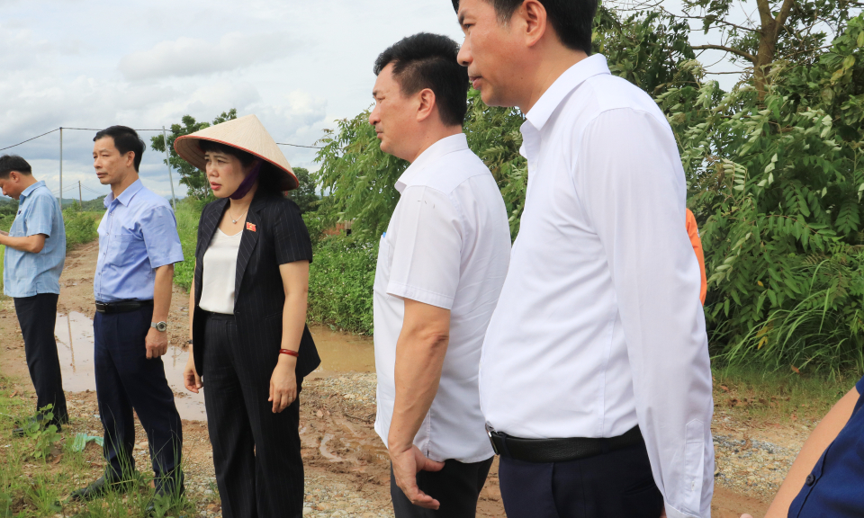 Tổ đại biểu Hải Hà - Đầm Hà (HĐND tỉnh) khảo sát thực tế phản ánh của nhân dân về việc mất điện tại xã Tân Bình, huyện Đầm Hà