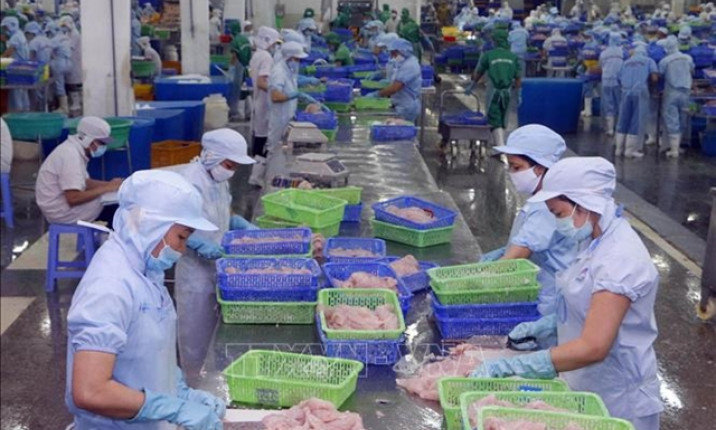 Việt Nam emerges as EU's top ASEAN exporter under EVFTA