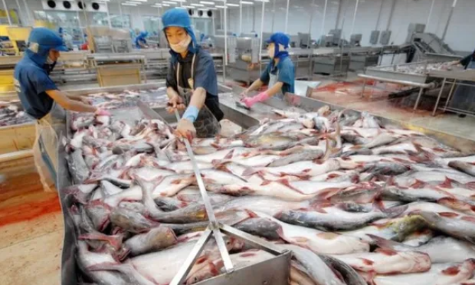 Xuất khẩu thủy sản khởi sắc