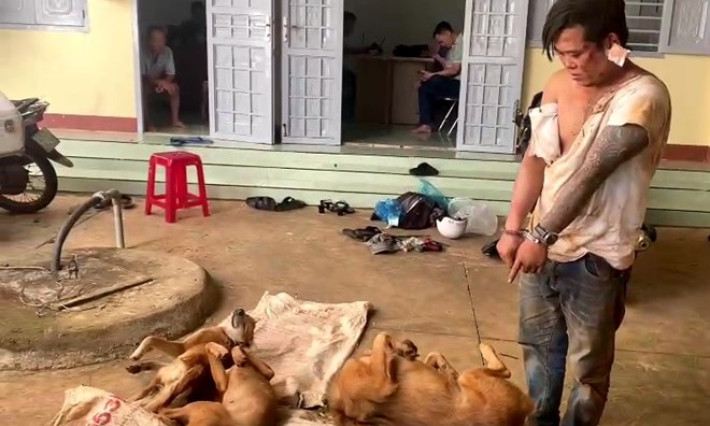 Bắt đối tượng trộm chó dùng dao đâm chủ nhà trọng thương