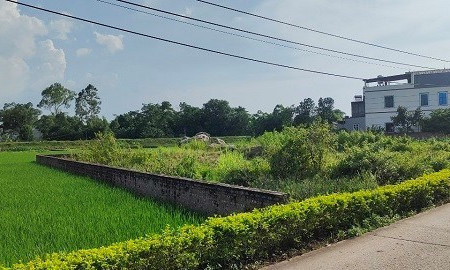Đất nông nghiệp chuyển sang đất ở phải đủ điều kiện gì?