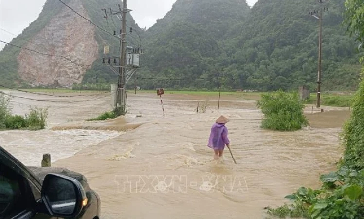 PM urges proactive moves in response to heavy losses in natural disasters 