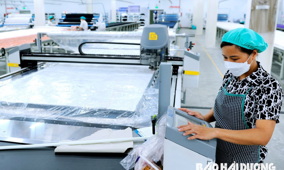 Bản tin vùng Đông Bắc ngày 07/8/2024