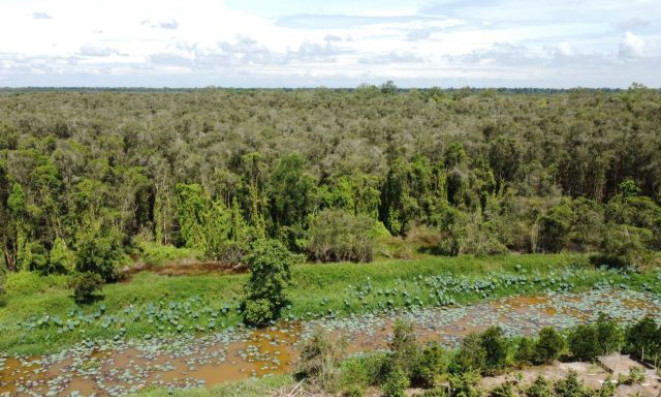 Việt Nam active in EU Deforestation Regulation implementation
