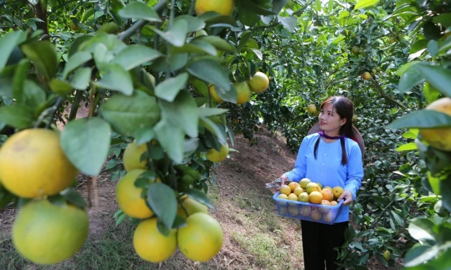Role of women in green economy 