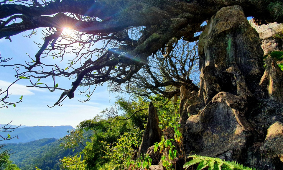 Yen Tu Mountain - a popular autumn travel destination