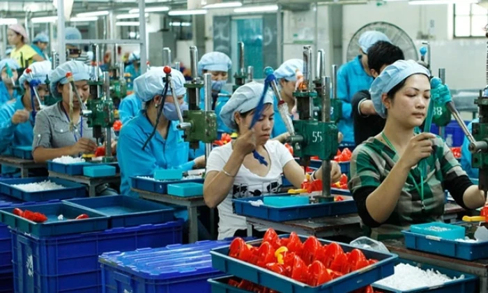 Finance ministry proposes lower tax rate for micro and small enterprises 
