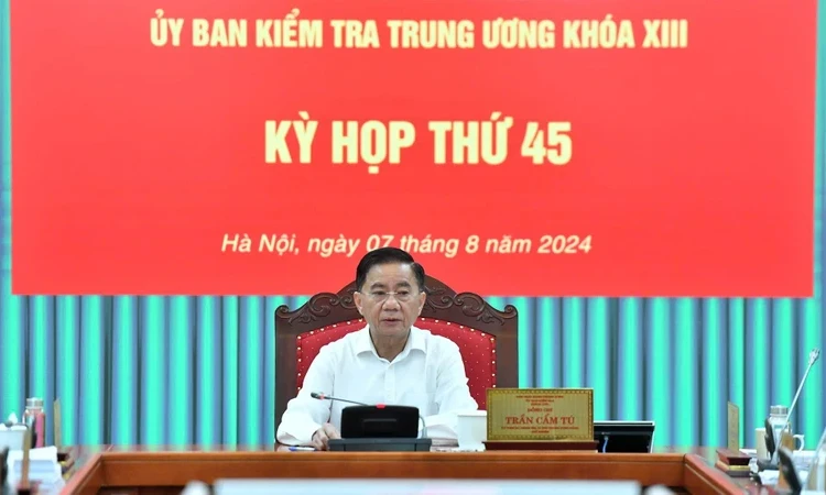 Ủy ban Kiểm tra Trung ương đề nghị xem xét thi hành kỷ luật một số tổ chức Đảng và đảng viên vi phạm
